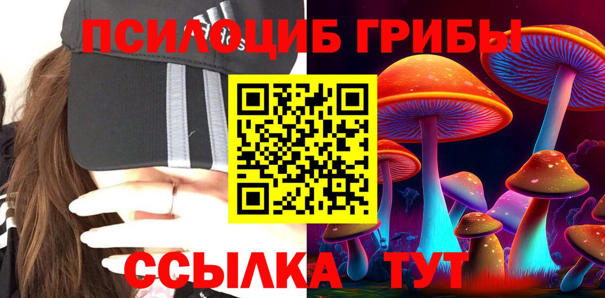 Коркино  наркошоп  Вход с VPN  Галлюциногенные грибы Cubensis 